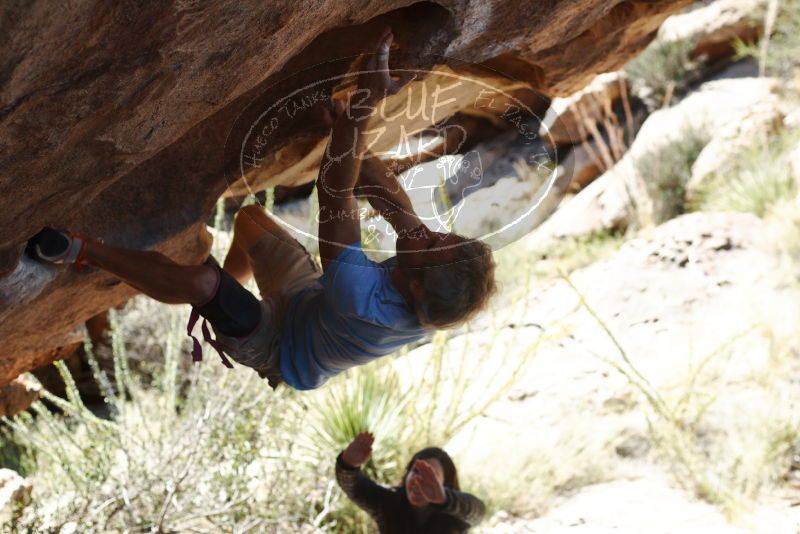 Bouldering in Hueco Tanks on 11/03/2018 with Blue Lizard Climbing and Yoga

Filename: SRM_20181103_1212350.jpg
Aperture: f/4.0
Shutter Speed: 1/1600
Body: Canon EOS-1D Mark II
Lens: Canon EF 50mm f/1.8 II