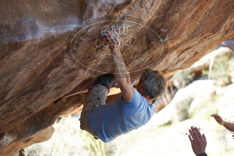 Bouldering in Hueco Tanks on 11/03/2018 with Blue Lizard Climbing and Yoga

Filename: SRM_20181103_1212571.jpg
Aperture: f/2.0
Shutter Speed: 1/2500
Body: Canon EOS-1D Mark II
Lens: Canon EF 50mm f/1.8 II