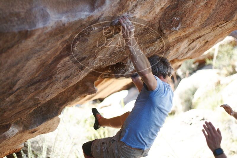 Bouldering in Hueco Tanks on 11/03/2018 with Blue Lizard Climbing and Yoga

Filename: SRM_20181103_1212590.jpg
Aperture: f/2.0
Shutter Speed: 1/2500
Body: Canon EOS-1D Mark II
Lens: Canon EF 50mm f/1.8 II