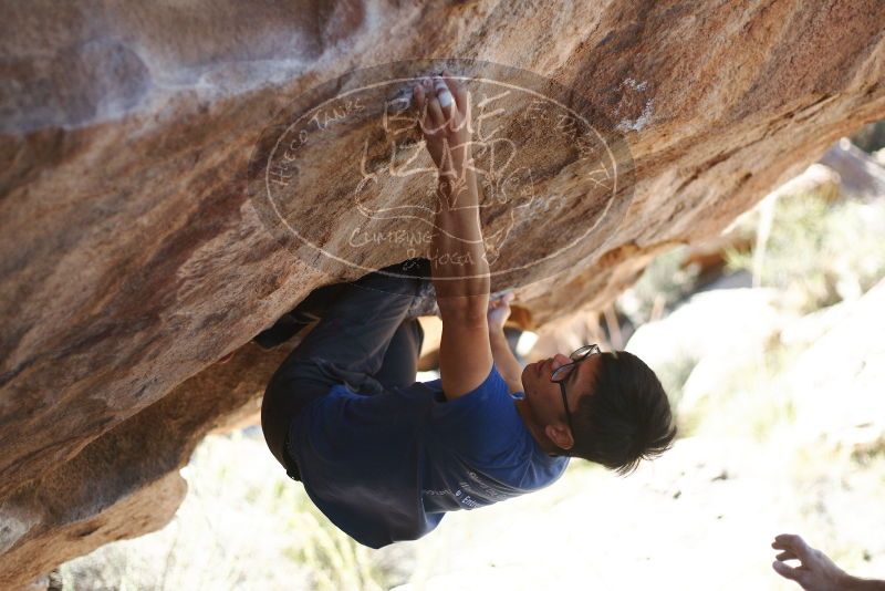 Bouldering in Hueco Tanks on 11/03/2018 with Blue Lizard Climbing and Yoga

Filename: SRM_20181103_1213480.jpg
Aperture: f/2.0
Shutter Speed: 1/2000
Body: Canon EOS-1D Mark II
Lens: Canon EF 50mm f/1.8 II