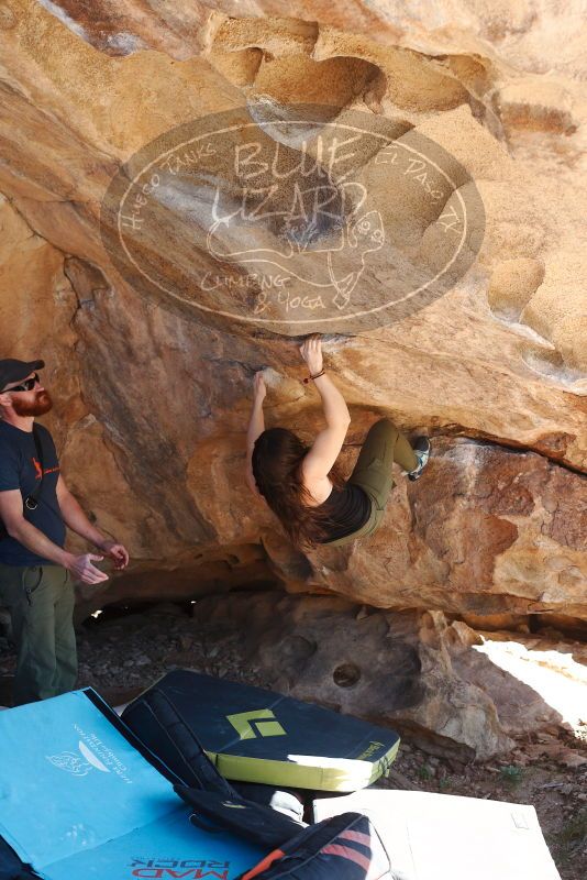 Bouldering in Hueco Tanks on 11/03/2018 with Blue Lizard Climbing and Yoga

Filename: SRM_20181103_1217120.jpg
Aperture: f/4.0
Shutter Speed: 1/500
Body: Canon EOS-1D Mark II
Lens: Canon EF 50mm f/1.8 II