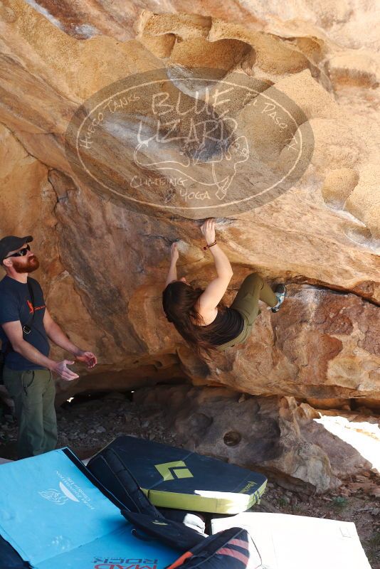 Bouldering in Hueco Tanks on 11/03/2018 with Blue Lizard Climbing and Yoga

Filename: SRM_20181103_1217121.jpg
Aperture: f/4.0
Shutter Speed: 1/500
Body: Canon EOS-1D Mark II
Lens: Canon EF 50mm f/1.8 II