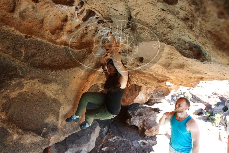 Bouldering in Hueco Tanks on 11/03/2018 with Blue Lizard Climbing and Yoga

Filename: SRM_20181103_1430340.jpg
Aperture: f/5.6
Shutter Speed: 1/320
Body: Canon EOS-1D Mark II
Lens: Canon EF 16-35mm f/2.8 L