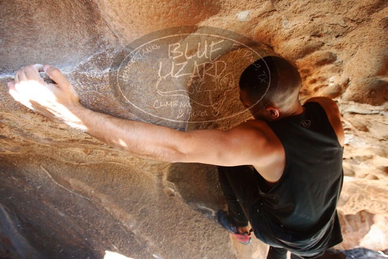 Bouldering in Hueco Tanks on 11/03/2018 with Blue Lizard Climbing and Yoga

Filename: SRM_20181103_1448592.jpg
Aperture: f/4.0
Shutter Speed: 1/200
Body: Canon EOS-1D Mark II
Lens: Canon EF 16-35mm f/2.8 L