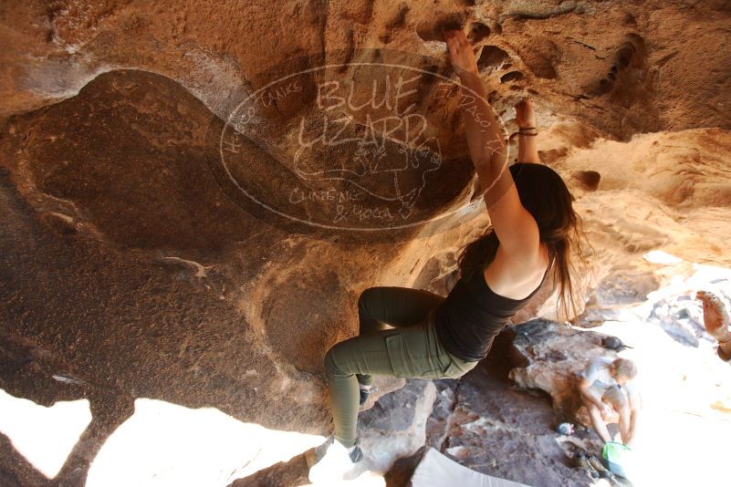 Bouldering in Hueco Tanks on 11/03/2018 with Blue Lizard Climbing and Yoga

Filename: SRM_20181103_1450290.jpg
Aperture: f/4.0
Shutter Speed: 1/320
Body: Canon EOS-1D Mark II
Lens: Canon EF 16-35mm f/2.8 L