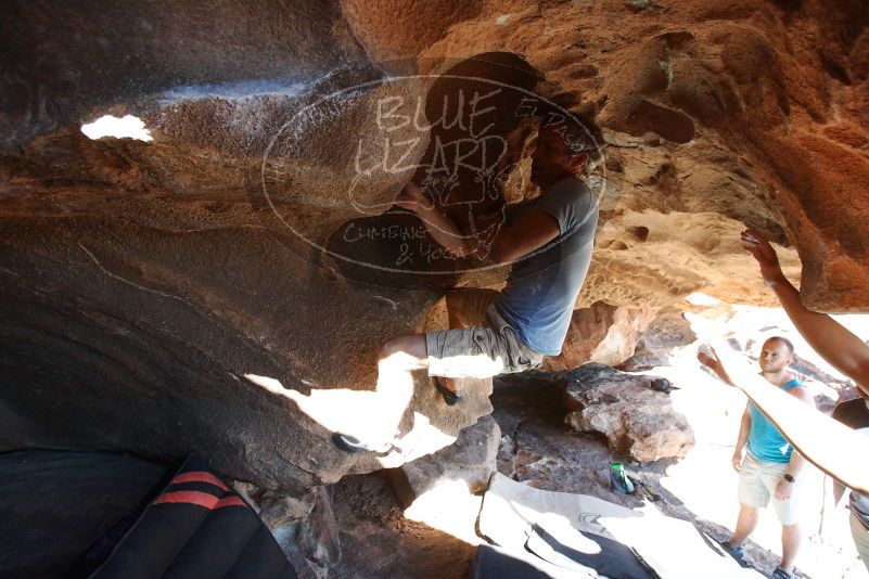 Bouldering in Hueco Tanks on 11/03/2018 with Blue Lizard Climbing and Yoga

Filename: SRM_20181103_1458260.jpg
Aperture: f/4.0
Shutter Speed: 1/500
Body: Canon EOS-1D Mark II
Lens: Canon EF 16-35mm f/2.8 L