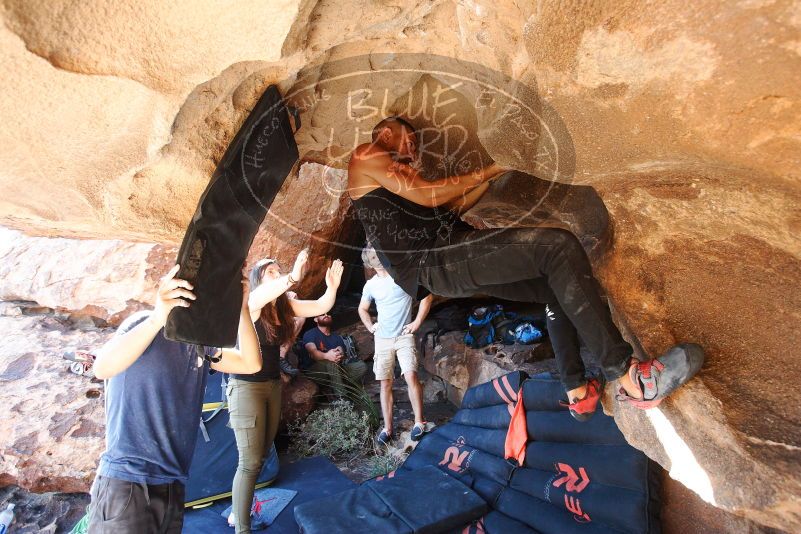 Bouldering in Hueco Tanks on 11/03/2018 with Blue Lizard Climbing and Yoga

Filename: SRM_20181103_1511050.jpg
Aperture: f/4.0
Shutter Speed: 1/250
Body: Canon EOS-1D Mark II
Lens: Canon EF 16-35mm f/2.8 L