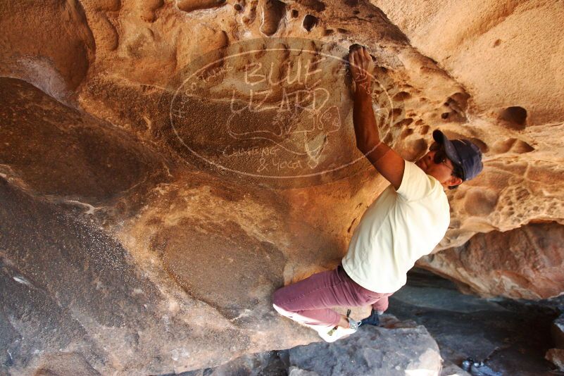 Bouldering in Hueco Tanks on 11/03/2018 with Blue Lizard Climbing and Yoga

Filename: SRM_20181103_1532390.jpg
Aperture: f/4.0
Shutter Speed: 1/250
Body: Canon EOS-1D Mark II
Lens: Canon EF 16-35mm f/2.8 L