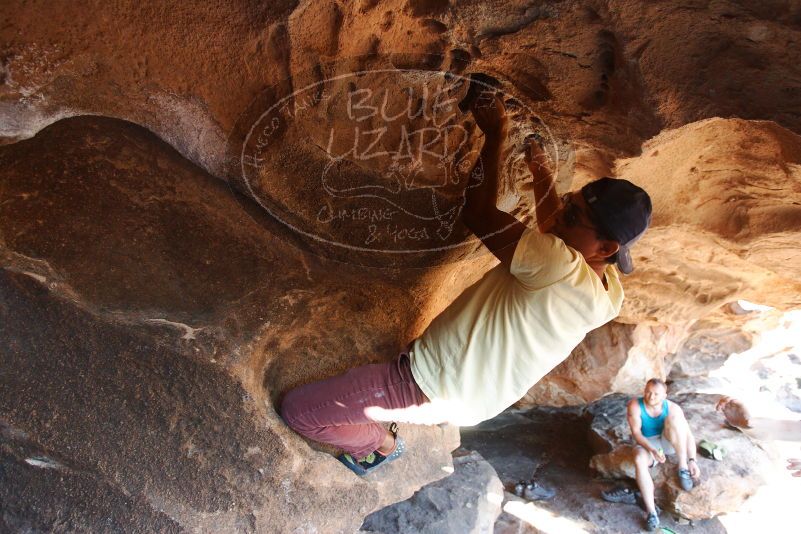 Bouldering in Hueco Tanks on 11/03/2018 with Blue Lizard Climbing and Yoga

Filename: SRM_20181103_1535541.jpg
Aperture: f/4.0
Shutter Speed: 1/250
Body: Canon EOS-1D Mark II
Lens: Canon EF 16-35mm f/2.8 L