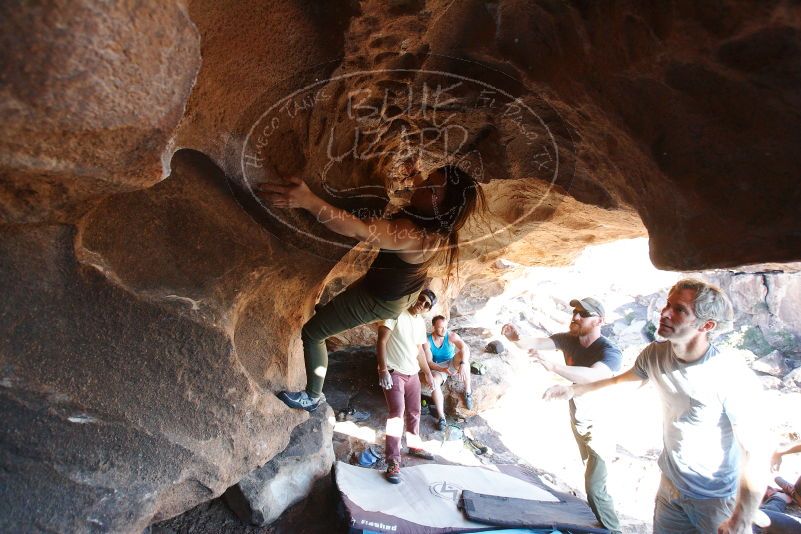 Bouldering in Hueco Tanks on 11/03/2018 with Blue Lizard Climbing and Yoga

Filename: SRM_20181103_1536561.jpg
Aperture: f/4.0
Shutter Speed: 1/400
Body: Canon EOS-1D Mark II
Lens: Canon EF 16-35mm f/2.8 L