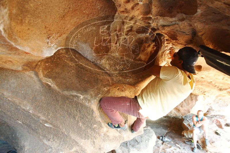 Bouldering in Hueco Tanks on 11/03/2018 with Blue Lizard Climbing and Yoga

Filename: SRM_20181103_1544400.jpg
Aperture: f/2.8
Shutter Speed: 1/200
Body: Canon EOS-1D Mark II
Lens: Canon EF 16-35mm f/2.8 L