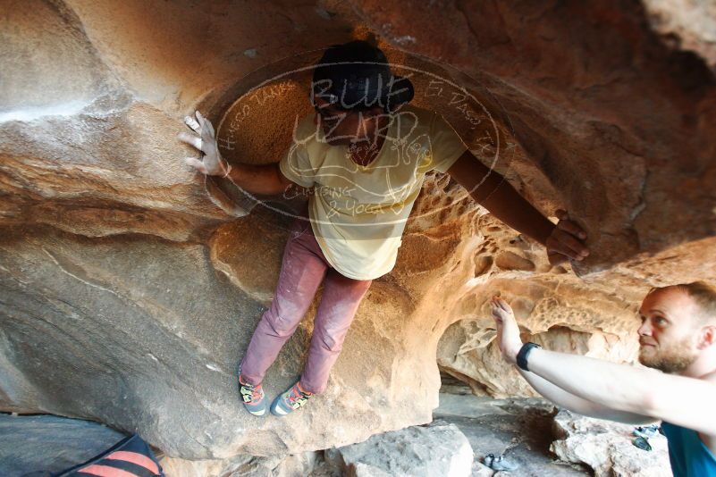 Bouldering in Hueco Tanks on 11/03/2018 with Blue Lizard Climbing and Yoga

Filename: SRM_20181103_1613500.jpg
Aperture: f/2.8
Shutter Speed: 1/125
Body: Canon EOS-1D Mark II
Lens: Canon EF 16-35mm f/2.8 L