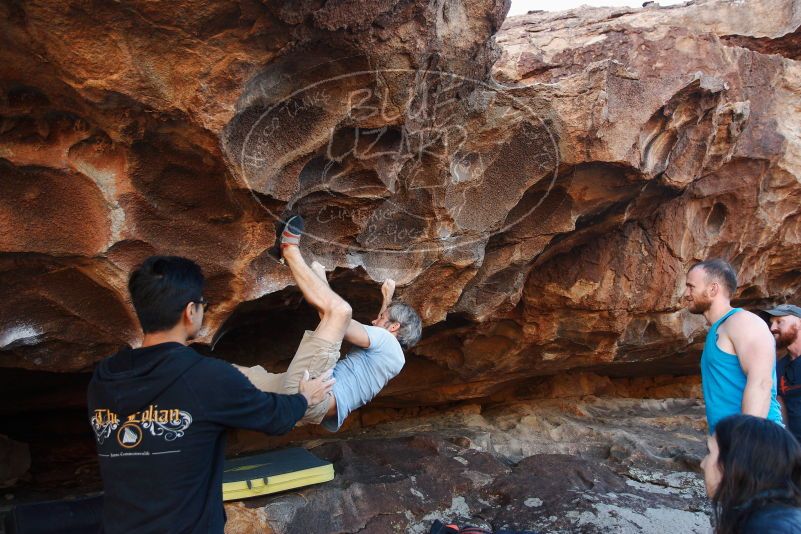 Bouldering in Hueco Tanks on 11/03/2018 with Blue Lizard Climbing and Yoga

Filename: SRM_20181103_1636230.jpg
Aperture: f/4.0
Shutter Speed: 1/320
Body: Canon EOS-1D Mark II
Lens: Canon EF 16-35mm f/2.8 L