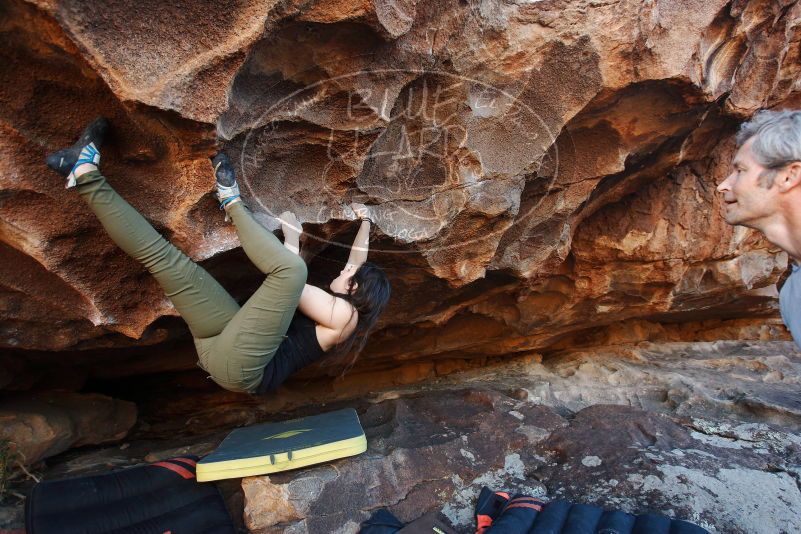 Bouldering in Hueco Tanks on 11/03/2018 with Blue Lizard Climbing and Yoga

Filename: SRM_20181103_1637120.jpg
Aperture: f/4.0
Shutter Speed: 1/250
Body: Canon EOS-1D Mark II
Lens: Canon EF 16-35mm f/2.8 L