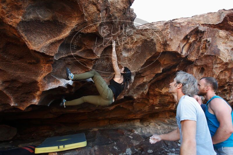 Bouldering in Hueco Tanks on 11/03/2018 with Blue Lizard Climbing and Yoga

Filename: SRM_20181103_1637230.jpg
Aperture: f/4.0
Shutter Speed: 1/320
Body: Canon EOS-1D Mark II
Lens: Canon EF 16-35mm f/2.8 L