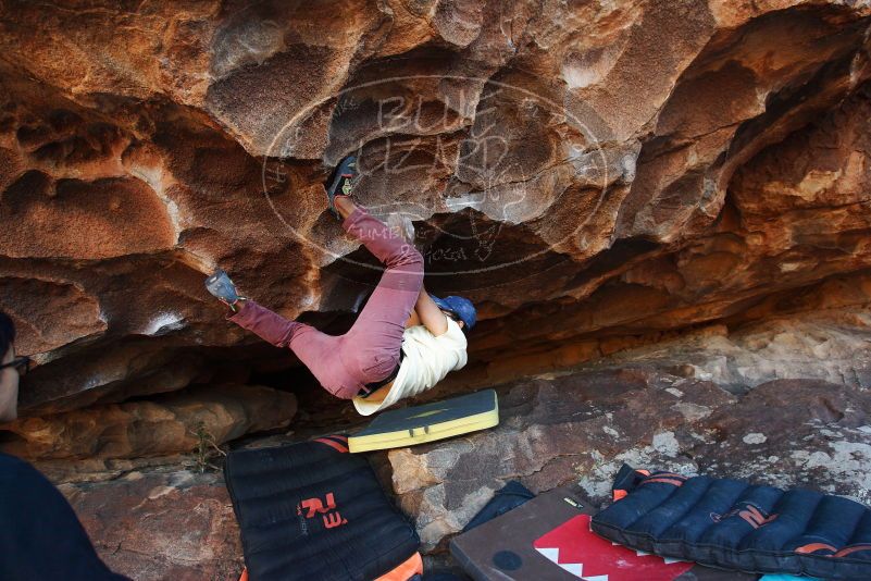 Bouldering in Hueco Tanks on 11/03/2018 with Blue Lizard Climbing and Yoga

Filename: SRM_20181103_1642300.jpg
Aperture: f/5.0
Shutter Speed: 1/200
Body: Canon EOS-1D Mark II
Lens: Canon EF 16-35mm f/2.8 L