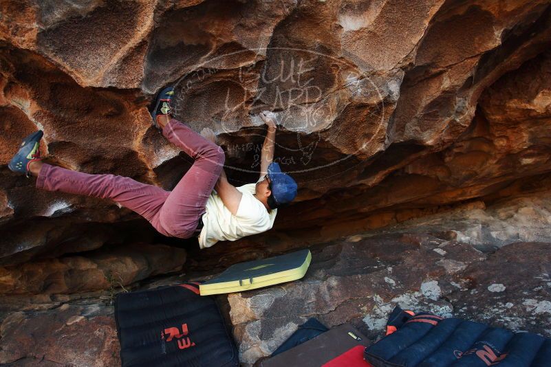 Bouldering in Hueco Tanks on 11/03/2018 with Blue Lizard Climbing and Yoga

Filename: SRM_20181103_1642310.jpg
Aperture: f/5.0
Shutter Speed: 1/250
Body: Canon EOS-1D Mark II
Lens: Canon EF 16-35mm f/2.8 L