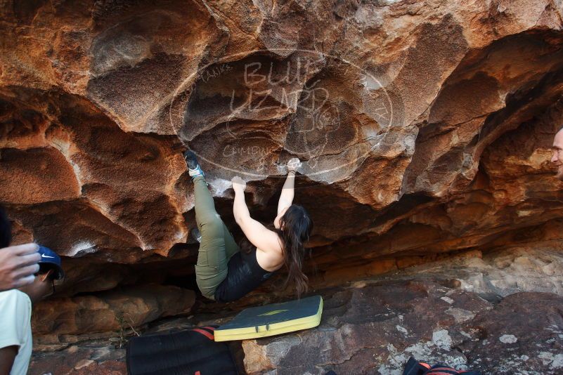 Bouldering in Hueco Tanks on 11/03/2018 with Blue Lizard Climbing and Yoga

Filename: SRM_20181103_1647250.jpg
Aperture: f/5.0
Shutter Speed: 1/250
Body: Canon EOS-1D Mark II
Lens: Canon EF 16-35mm f/2.8 L