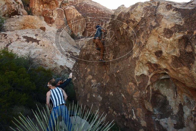 Bouldering in Hueco Tanks on 11/04/2018 with Blue Lizard Climbing and Yoga

Filename: SRM_20181104_1014310.jpg
Aperture: f/5.6
Shutter Speed: 1/400
Body: Canon EOS-1D Mark II
Lens: Canon EF 16-35mm f/2.8 L