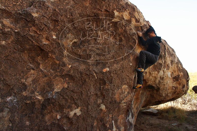 Bouldering in Hueco Tanks on 11/04/2018 with Blue Lizard Climbing and Yoga

Filename: SRM_20181104_1032500.jpg
Aperture: f/5.0
Shutter Speed: 1/500
Body: Canon EOS-1D Mark II
Lens: Canon EF 16-35mm f/2.8 L