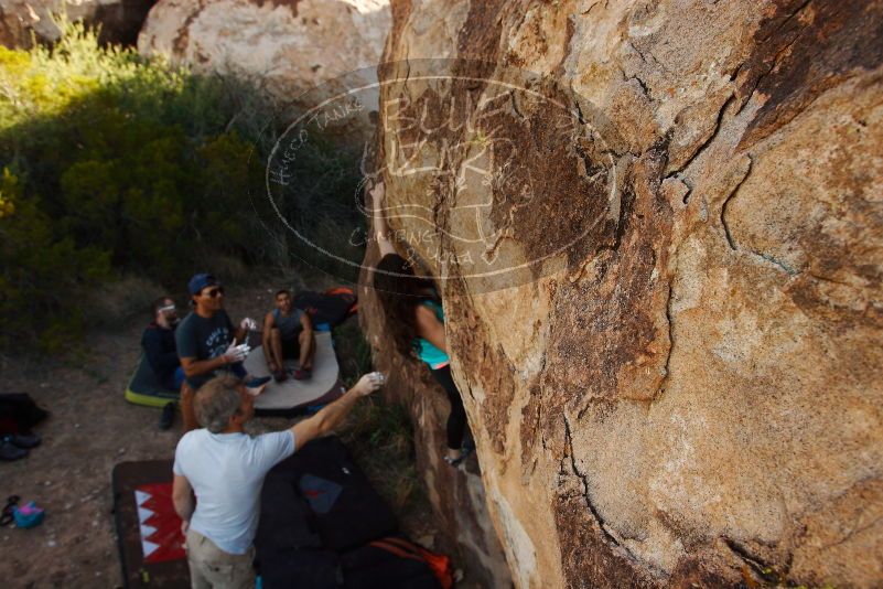 Bouldering in Hueco Tanks on 11/04/2018 with Blue Lizard Climbing and Yoga

Filename: SRM_20181104_1043372.jpg
Aperture: f/5.6
Shutter Speed: 1/500
Body: Canon EOS-1D Mark II
Lens: Canon EF 16-35mm f/2.8 L