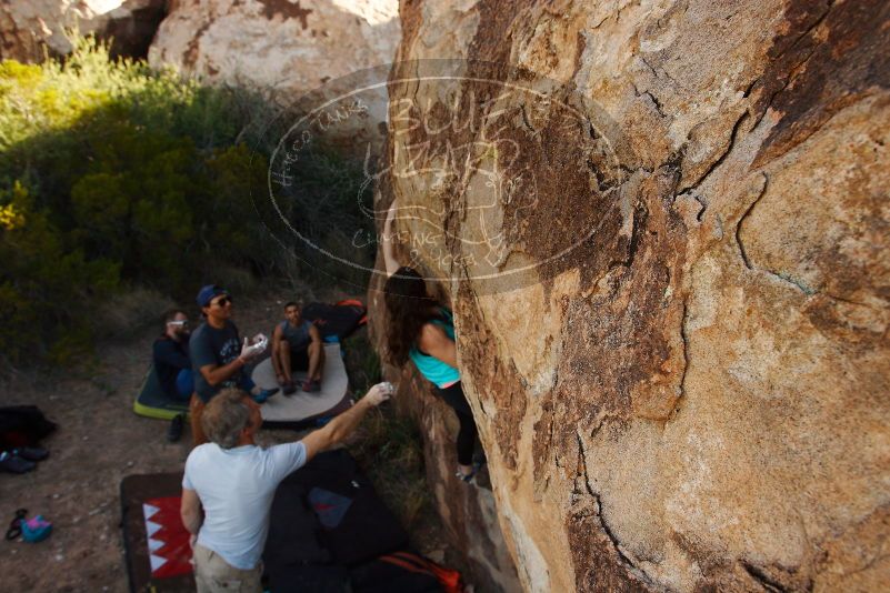 Bouldering in Hueco Tanks on 11/04/2018 with Blue Lizard Climbing and Yoga

Filename: SRM_20181104_1043380.jpg
Aperture: f/5.6
Shutter Speed: 1/500
Body: Canon EOS-1D Mark II
Lens: Canon EF 16-35mm f/2.8 L