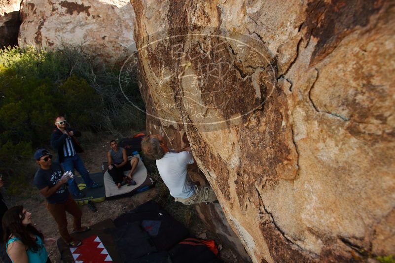 Bouldering in Hueco Tanks on 11/04/2018 with Blue Lizard Climbing and Yoga

Filename: SRM_20181104_1044270.jpg
Aperture: f/5.6
Shutter Speed: 1/500
Body: Canon EOS-1D Mark II
Lens: Canon EF 16-35mm f/2.8 L