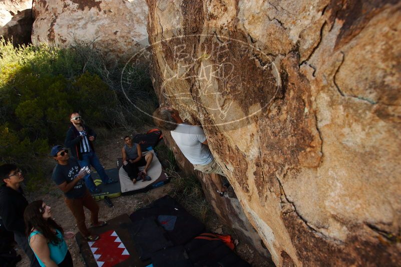 Bouldering in Hueco Tanks on 11/04/2018 with Blue Lizard Climbing and Yoga

Filename: SRM_20181104_1044271.jpg
Aperture: f/5.6
Shutter Speed: 1/500
Body: Canon EOS-1D Mark II
Lens: Canon EF 16-35mm f/2.8 L