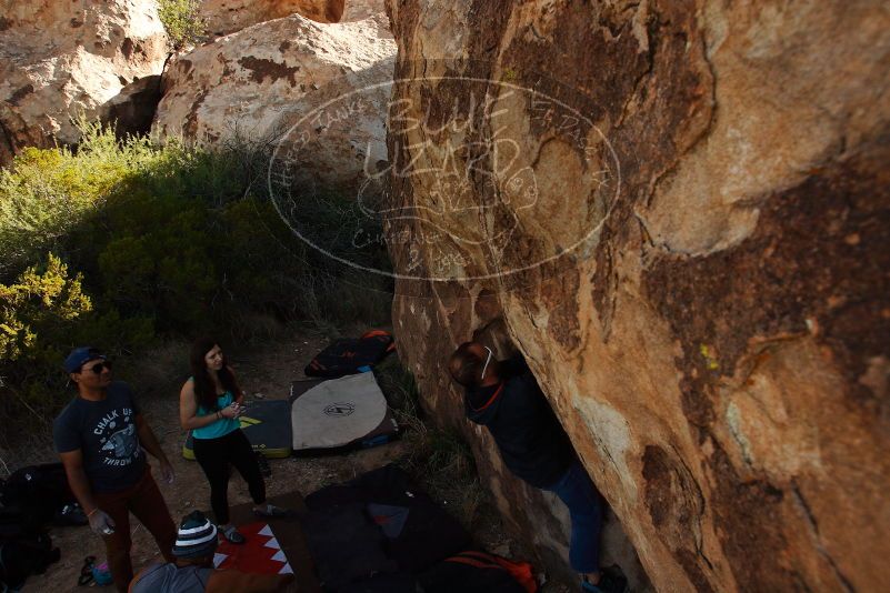 Bouldering in Hueco Tanks on 11/04/2018 with Blue Lizard Climbing and Yoga

Filename: SRM_20181104_1046260.jpg
Aperture: f/5.6
Shutter Speed: 1/640
Body: Canon EOS-1D Mark II
Lens: Canon EF 16-35mm f/2.8 L