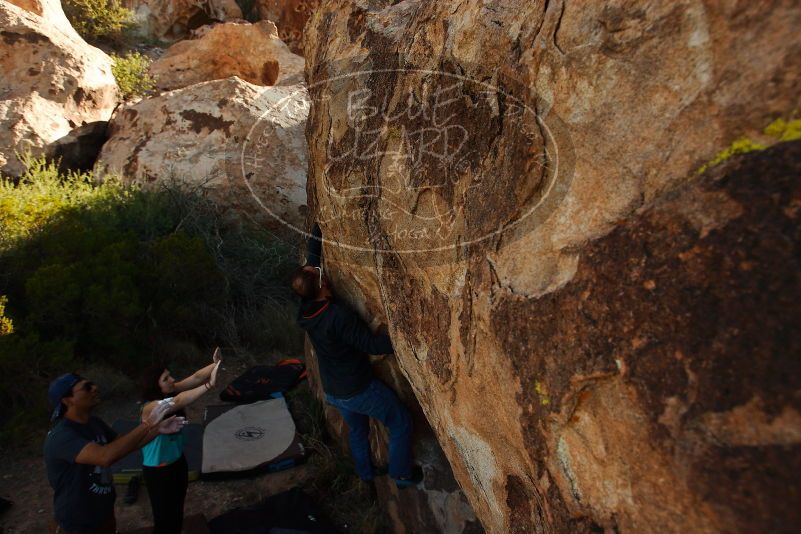 Bouldering in Hueco Tanks on 11/04/2018 with Blue Lizard Climbing and Yoga

Filename: SRM_20181104_1046450.jpg
Aperture: f/5.6
Shutter Speed: 1/800
Body: Canon EOS-1D Mark II
Lens: Canon EF 16-35mm f/2.8 L