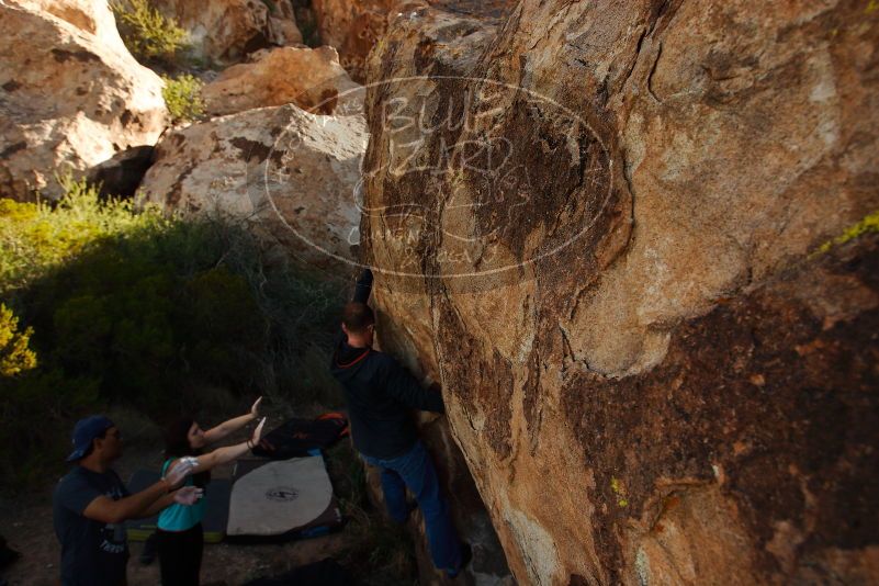 Bouldering in Hueco Tanks on 11/04/2018 with Blue Lizard Climbing and Yoga

Filename: SRM_20181104_1046500.jpg
Aperture: f/5.6
Shutter Speed: 1/800
Body: Canon EOS-1D Mark II
Lens: Canon EF 16-35mm f/2.8 L