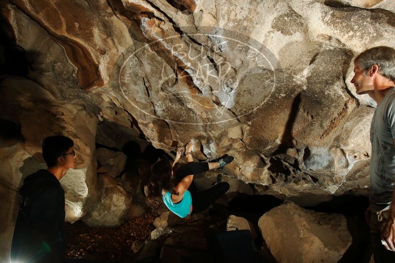 Bouldering in Hueco Tanks on 11/04/2018 with Blue Lizard Climbing and Yoga

Filename: SRM_20181104_1206360.jpg
Aperture: f/8.0
Shutter Speed: 1/250
Body: Canon EOS-1D Mark II
Lens: Canon EF 16-35mm f/2.8 L