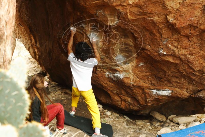 Bouldering in Hueco Tanks on 11/10/2018 with Blue Lizard Climbing and Yoga

Filename: SRM_20181110_1211411.jpg
Aperture: f/4.0
Shutter Speed: 1/250
Body: Canon EOS-1D Mark II
Lens: Canon EF 50mm f/1.8 II