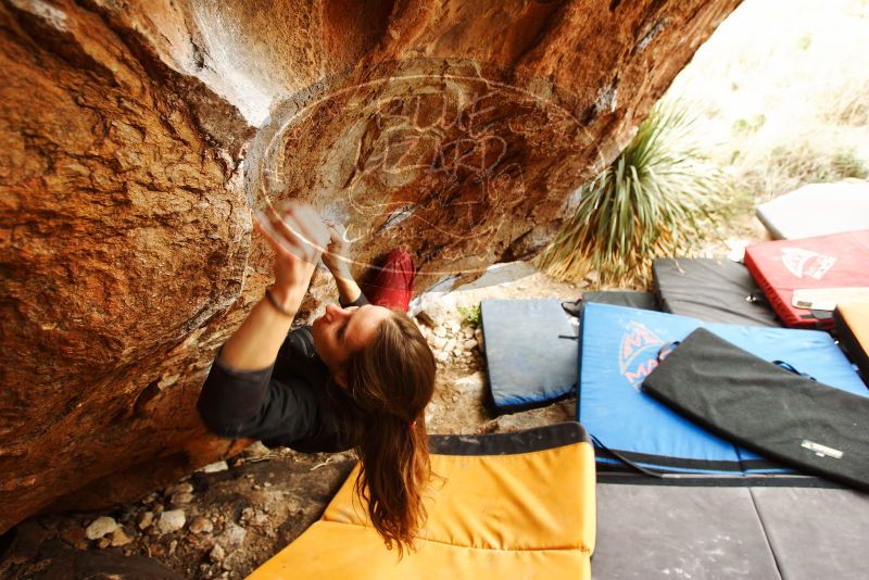 Bouldering in Hueco Tanks on 11/10/2018 with Blue Lizard Climbing and Yoga

Filename: SRM_20181110_1217590.jpg
Aperture: f/4.0
Shutter Speed: 1/250
Body: Canon EOS-1D Mark II
Lens: Canon EF 16-35mm f/2.8 L