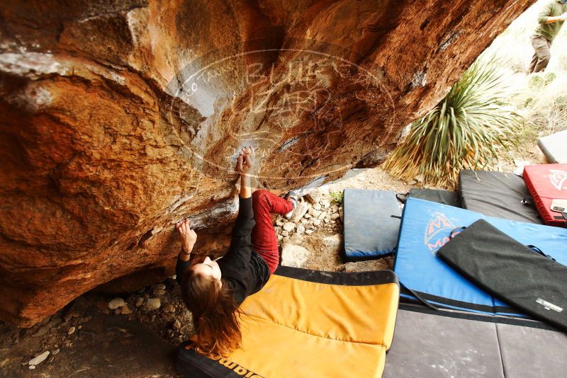 Bouldering in Hueco Tanks on 11/10/2018 with Blue Lizard Climbing and Yoga

Filename: SRM_20181110_1218120.jpg
Aperture: f/4.0
Shutter Speed: 1/250
Body: Canon EOS-1D Mark II
Lens: Canon EF 16-35mm f/2.8 L