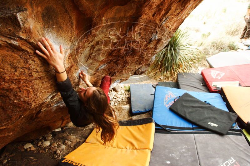 Bouldering in Hueco Tanks on 11/10/2018 with Blue Lizard Climbing and Yoga

Filename: SRM_20181110_1218160.jpg
Aperture: f/4.0
Shutter Speed: 1/250
Body: Canon EOS-1D Mark II
Lens: Canon EF 16-35mm f/2.8 L