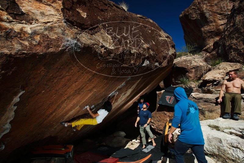 Bouldering in Hueco Tanks on 11/10/2018 with Blue Lizard Climbing and Yoga

Filename: SRM_20181110_1403430.jpg
Aperture: f/8.0
Shutter Speed: 1/250
Body: Canon EOS-1D Mark II
Lens: Canon EF 16-35mm f/2.8 L