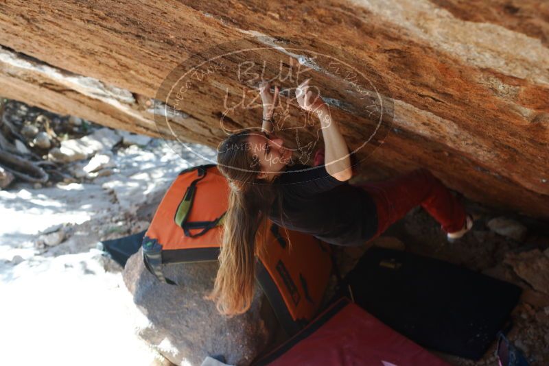 Bouldering in Hueco Tanks on 11/10/2018 with Blue Lizard Climbing and Yoga

Filename: SRM_20181110_1416550.jpg
Aperture: f/4.0
Shutter Speed: 1/250
Body: Canon EOS-1D Mark II
Lens: Canon EF 50mm f/1.8 II