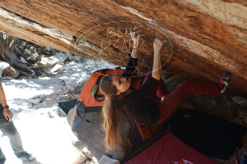 Bouldering in Hueco Tanks on 11/10/2018 with Blue Lizard Climbing and Yoga

Filename: SRM_20181110_1417530.jpg
Aperture: f/4.0
Shutter Speed: 1/250
Body: Canon EOS-1D Mark II
Lens: Canon EF 50mm f/1.8 II