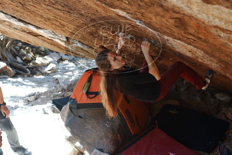 Bouldering in Hueco Tanks on 11/10/2018 with Blue Lizard Climbing and Yoga

Filename: SRM_20181110_1417540.jpg
Aperture: f/4.0
Shutter Speed: 1/250
Body: Canon EOS-1D Mark II
Lens: Canon EF 50mm f/1.8 II