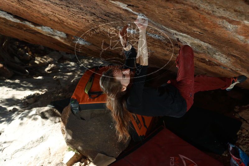 Bouldering in Hueco Tanks on 11/10/2018 with Blue Lizard Climbing and Yoga

Filename: SRM_20181110_1420260.jpg
Aperture: f/5.0
Shutter Speed: 1/250
Body: Canon EOS-1D Mark II
Lens: Canon EF 50mm f/1.8 II