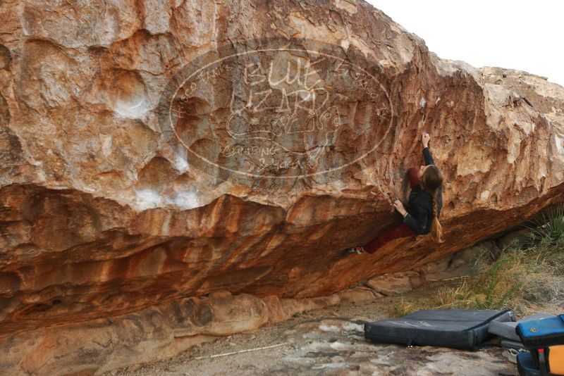 Bouldering in Hueco Tanks on 11/10/2018 with Blue Lizard Climbing and Yoga

Filename: SRM_20181110_1729280.jpg
Aperture: f/5.0
Shutter Speed: 1/320
Body: Canon EOS-1D Mark II
Lens: Canon EF 16-35mm f/2.8 L