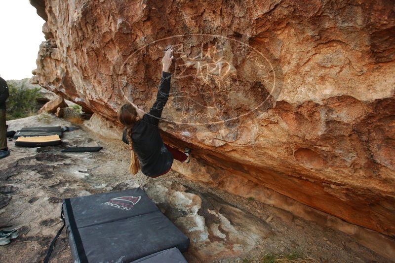 Bouldering in Hueco Tanks on 11/10/2018 with Blue Lizard Climbing and Yoga

Filename: SRM_20181110_1742250.jpg
Aperture: f/4.5
Shutter Speed: 1/250
Body: Canon EOS-1D Mark II
Lens: Canon EF 16-35mm f/2.8 L