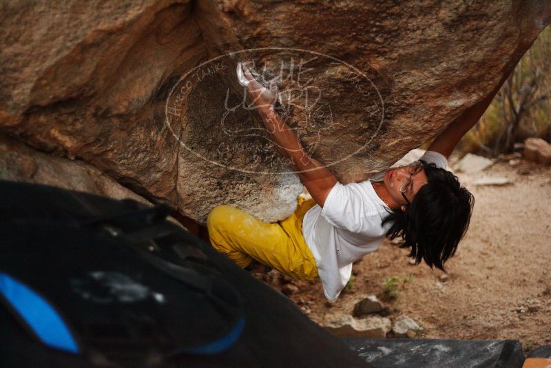 Bouldering in Hueco Tanks on 11/10/2018 with Blue Lizard Climbing and Yoga

Filename: SRM_20181110_1816220.jpg
Aperture: f/1.8
Shutter Speed: 1/160
Body: Canon EOS-1D Mark II
Lens: Canon EF 50mm f/1.8 II