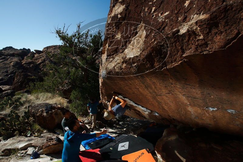 Bouldering in Hueco Tanks on 11/10/2018 with Blue Lizard Climbing and Yoga

Filename: SRM_20181110_1335350.jpg
Aperture: f/8.0
Shutter Speed: 1/250
Body: Canon EOS-1D Mark II
Lens: Canon EF 16-35mm f/2.8 L