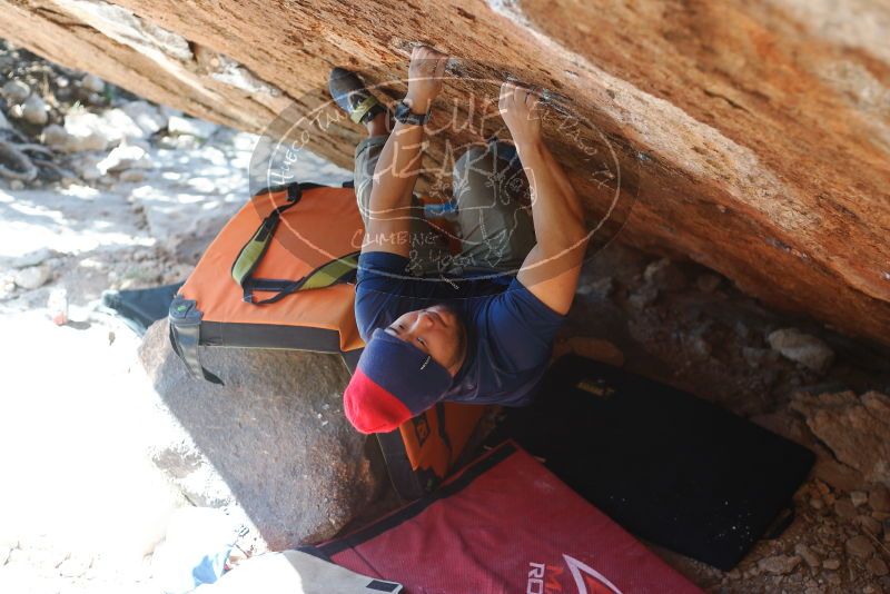 Bouldering in Hueco Tanks on 11/10/2018 with Blue Lizard Climbing and Yoga

Filename: SRM_20181110_1409410.jpg
Aperture: f/2.8
Shutter Speed: 1/320
Body: Canon EOS-1D Mark II
Lens: Canon EF 50mm f/1.8 II