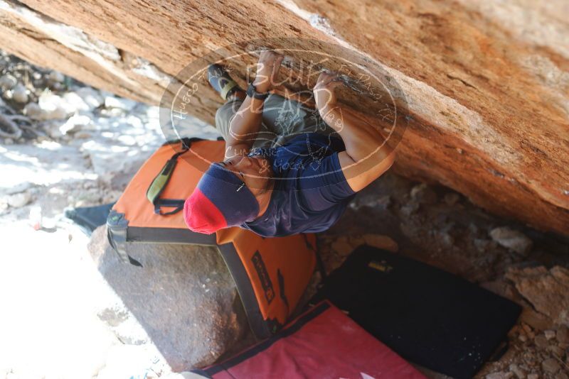 Bouldering in Hueco Tanks on 11/10/2018 with Blue Lizard Climbing and Yoga

Filename: SRM_20181110_1409411.jpg
Aperture: f/2.8
Shutter Speed: 1/320
Body: Canon EOS-1D Mark II
Lens: Canon EF 50mm f/1.8 II