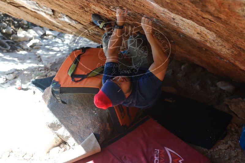 Bouldering in Hueco Tanks on 11/10/2018 with Blue Lizard Climbing and Yoga

Filename: SRM_20181110_1410250.jpg
Aperture: f/3.5
Shutter Speed: 1/320
Body: Canon EOS-1D Mark II
Lens: Canon EF 50mm f/1.8 II