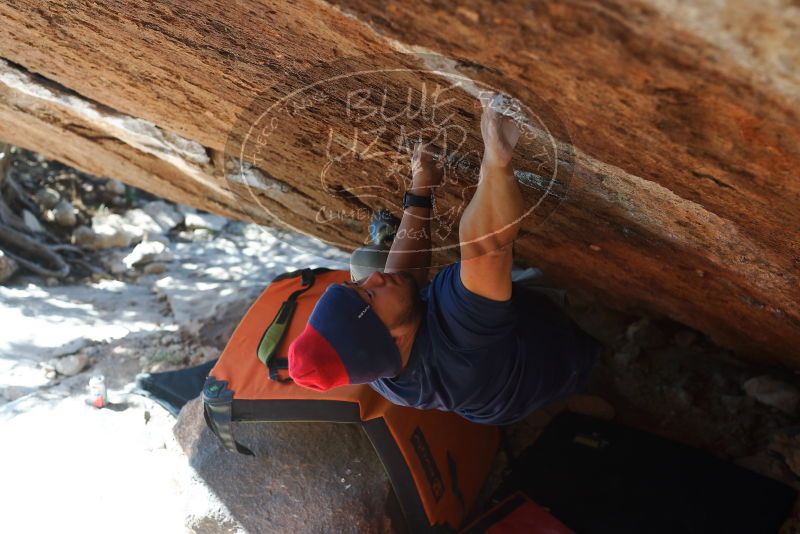 Bouldering in Hueco Tanks on 11/10/2018 with Blue Lizard Climbing and Yoga

Filename: SRM_20181110_1410261.jpg
Aperture: f/3.5
Shutter Speed: 1/400
Body: Canon EOS-1D Mark II
Lens: Canon EF 50mm f/1.8 II