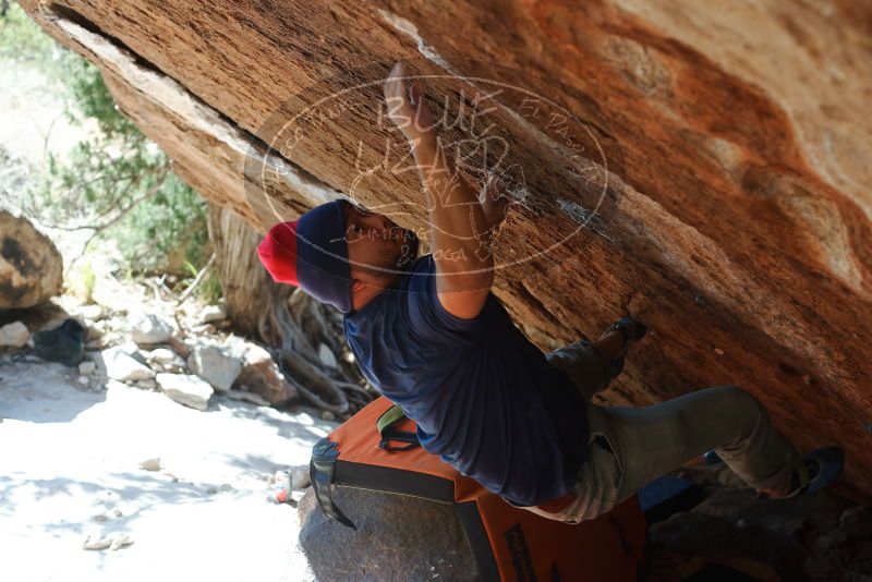 Bouldering in Hueco Tanks on 11/10/2018 with Blue Lizard Climbing and Yoga

Filename: SRM_20181110_1411501.jpg
Aperture: f/3.5
Shutter Speed: 1/400
Body: Canon EOS-1D Mark II
Lens: Canon EF 50mm f/1.8 II